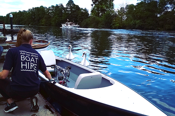 Couples luxury pedal boat.